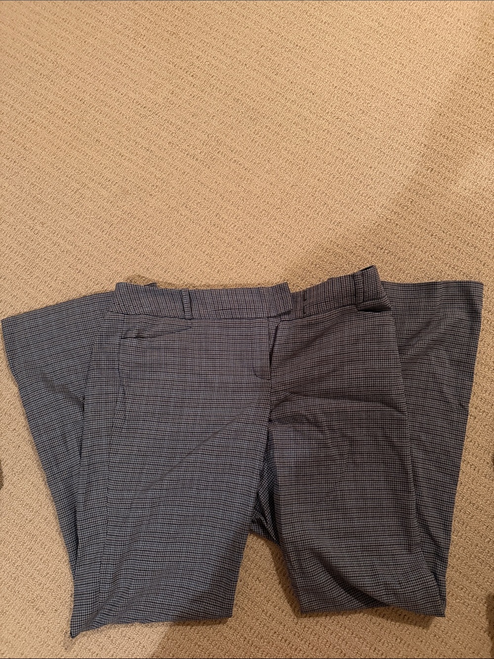 The Limited Dress Pants Cassidy Fit